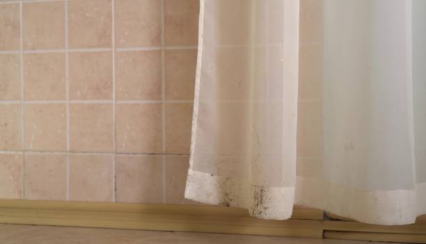 Best Air Quality Testing for Mold Spores  in Belding, MI