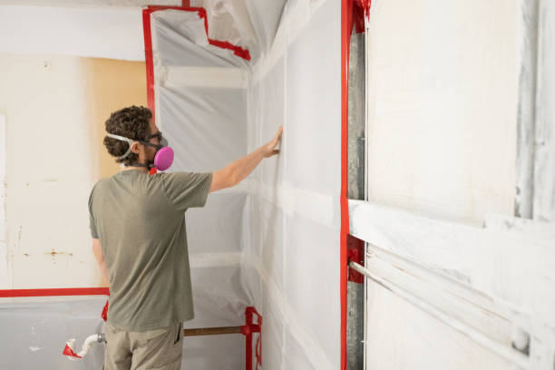 Best Mold Damage Restoration  in Belding, MI
