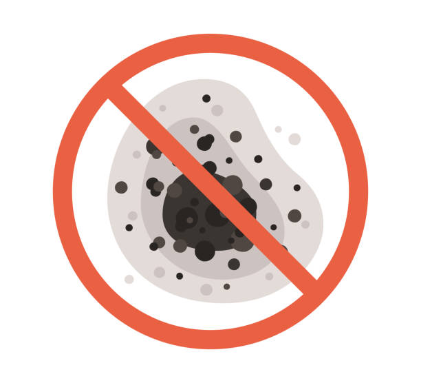 Best Mold-Related Health Consultation  in Belding, MI