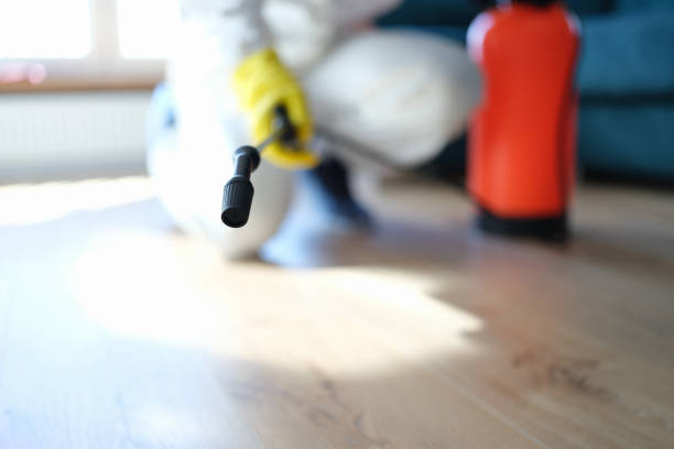 Best Mold Removal for HVAC Installations  in Belding, MI