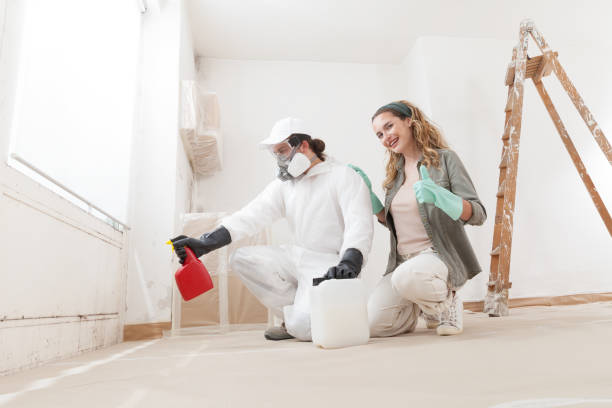 Best Mold-Related Health Consultation  in Belding, MI