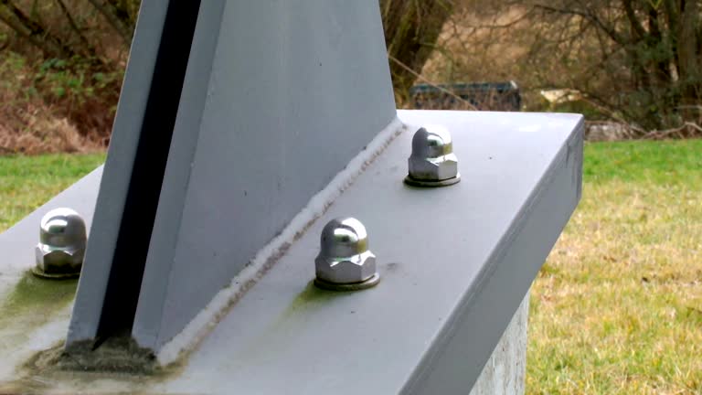 Best Forensic Mold Investigation  in Belding, MI